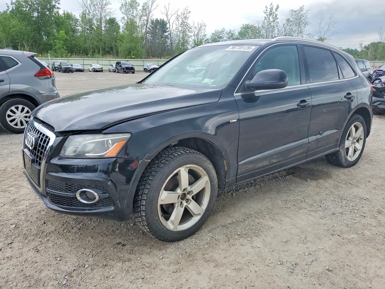 2011 Audi Q5 Premium Plus, VIN WA1DKAFP6BA011632 — Rear end