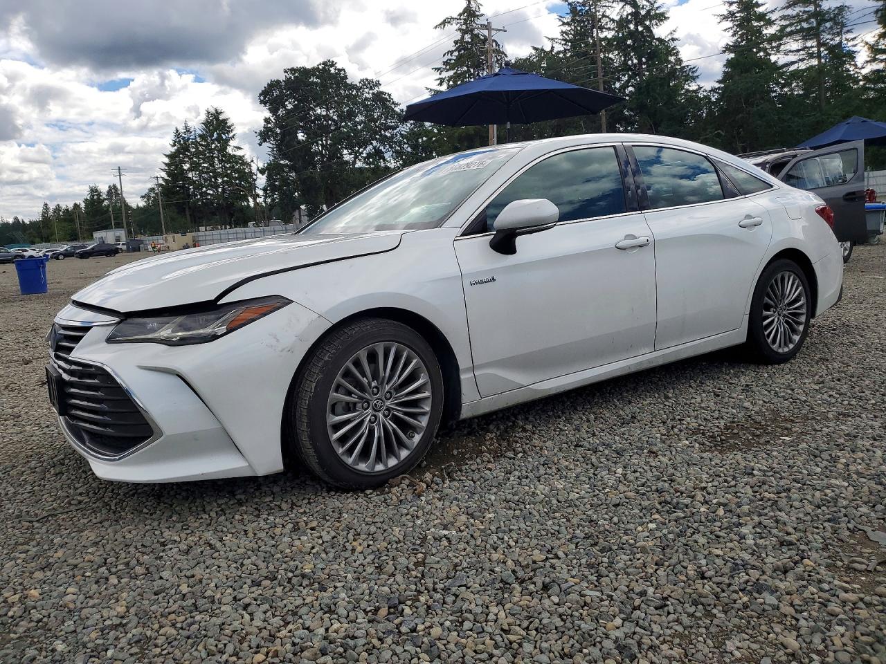 2019 Toyota Avalon Limited Hybrid, VIN 4T1B21FB8KU007500 — Front end