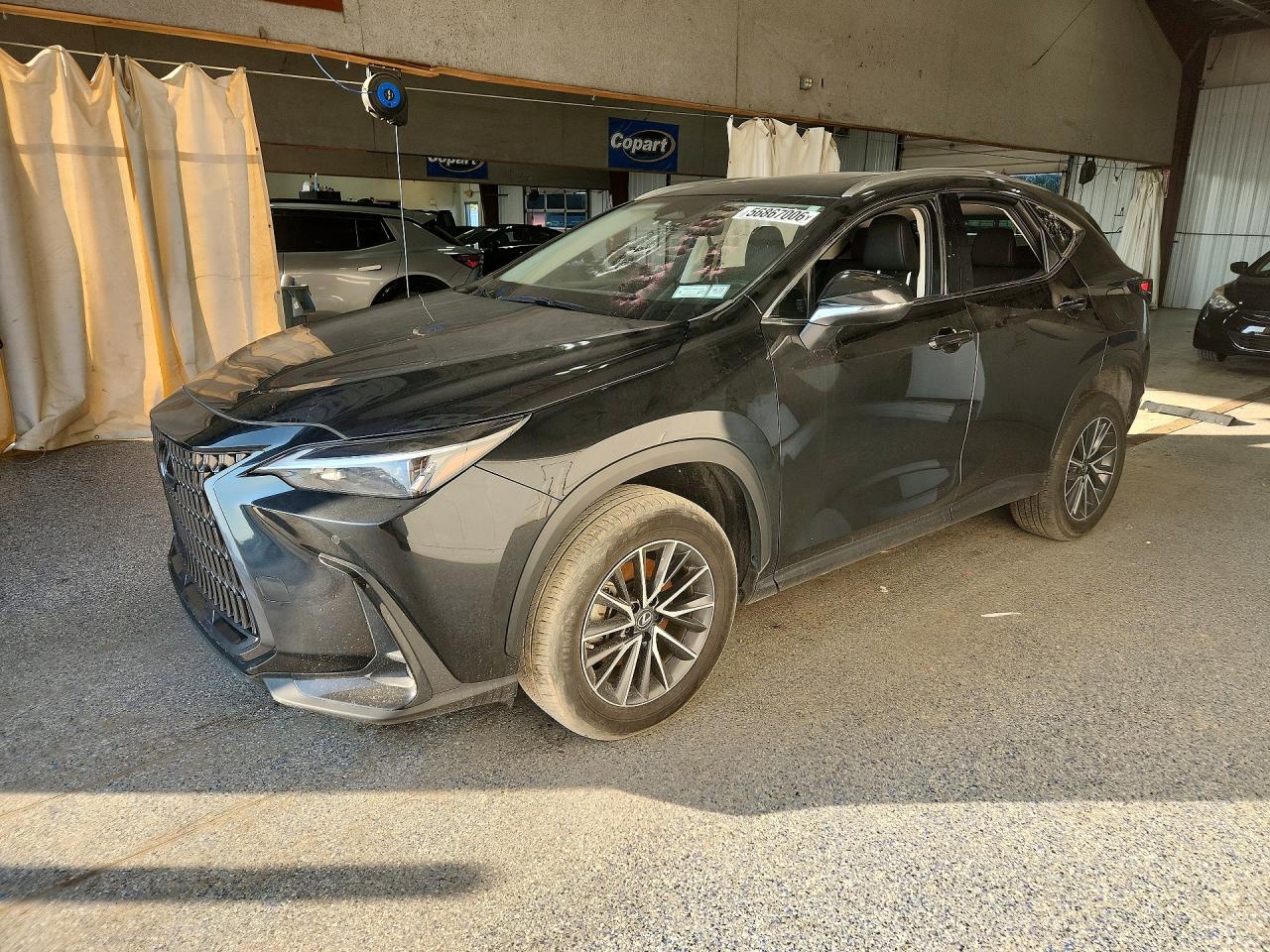 2022 Lexus NX 350 Premium, VIN JTJGGCEZ6N5002569 — Vandalism