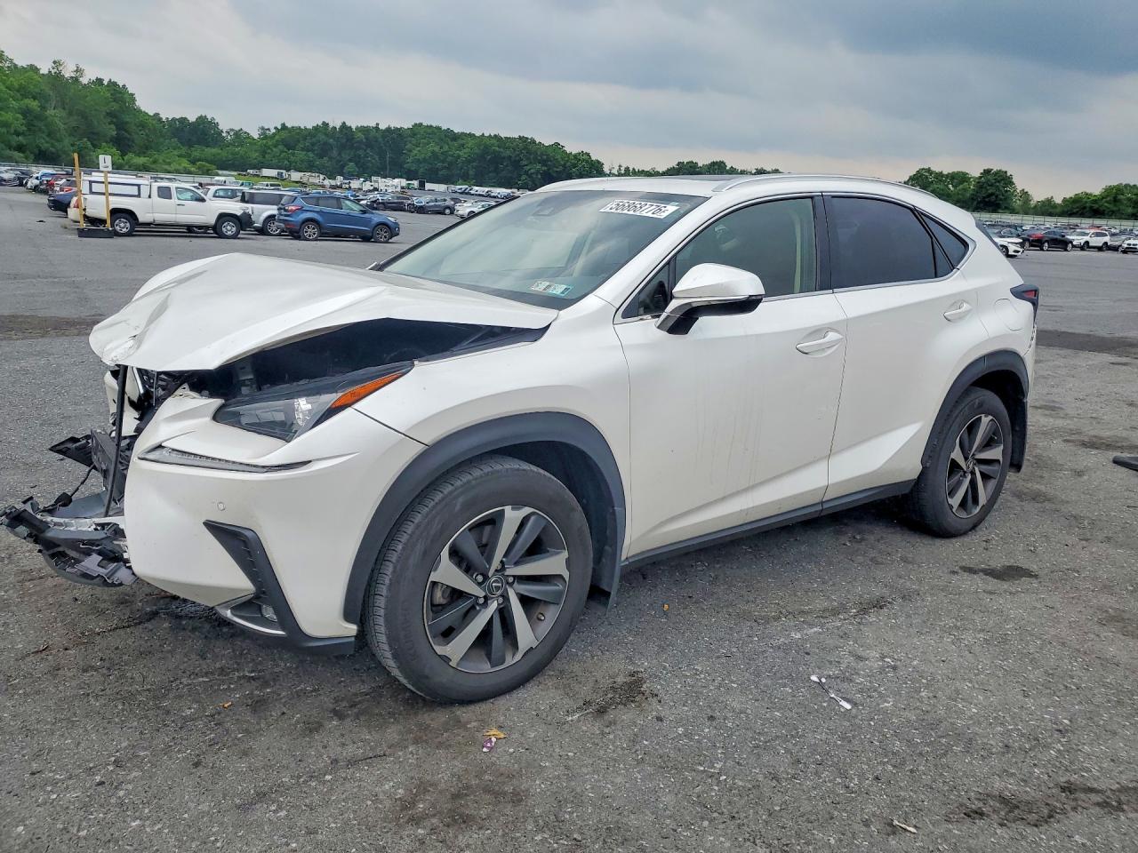2020 Lexus NX 300, VIN JTJGARDZ6L5017978 — Front end