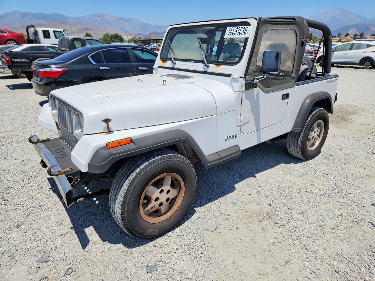 1994 Jeep Wrangler, VIN 1J4FY29S6RP446106 — Minor dents and scratches