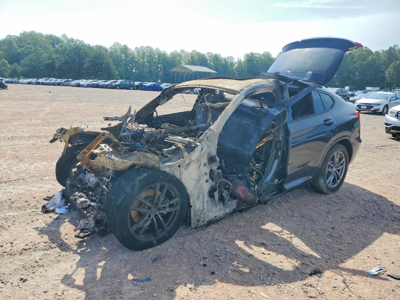 2020 BMW X4 xDrive30i, VIN 5UX2V1C08LLZ32461 — Burn