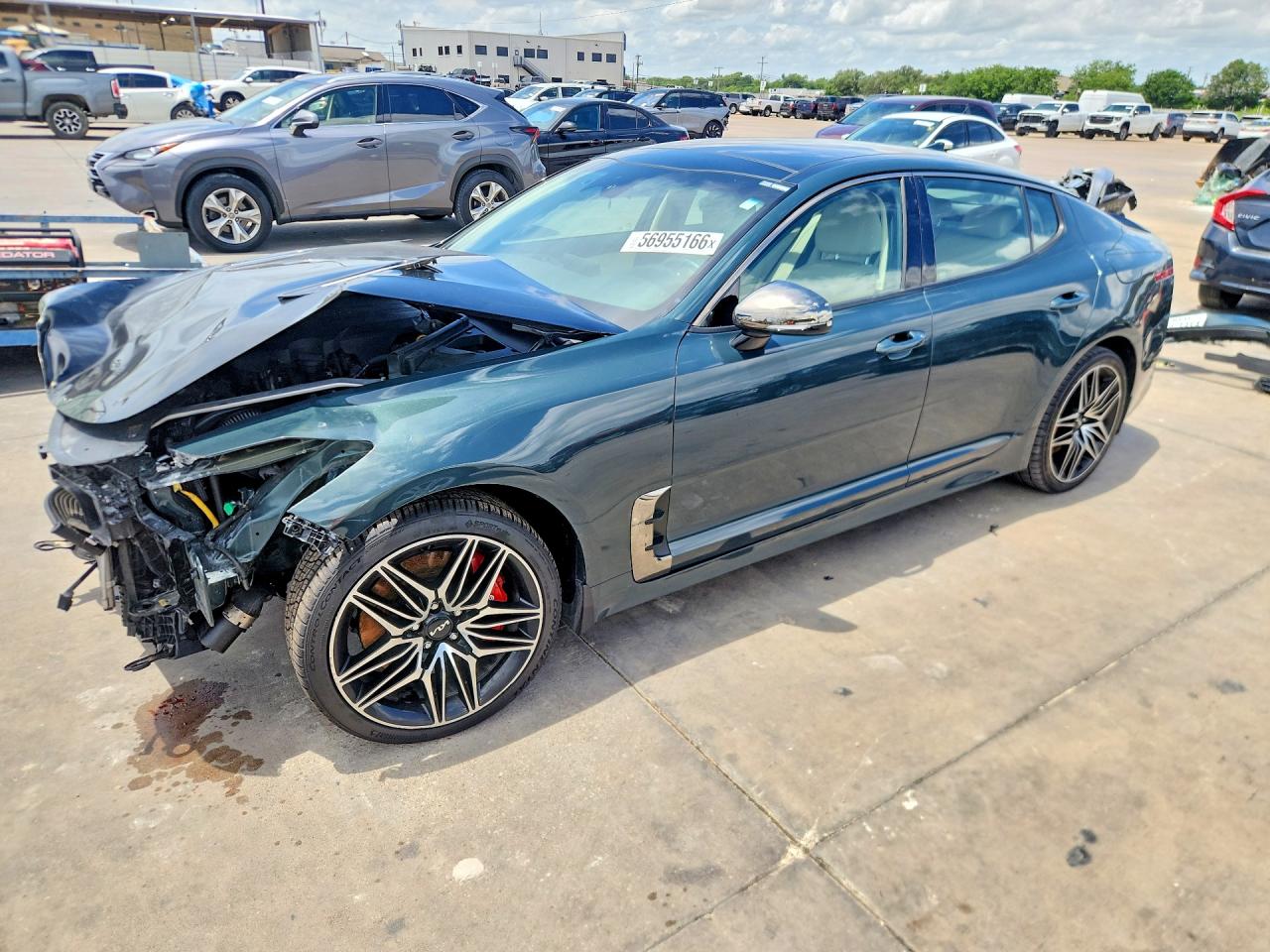 2022 Kia Stinger GT1, VIN KNAE45LC3N6119837 — Front end