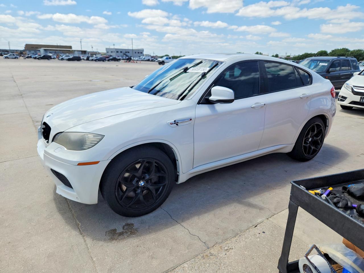 2010 BMW X6 M, VIN 5YMGZ0C50ALK13081 — Side