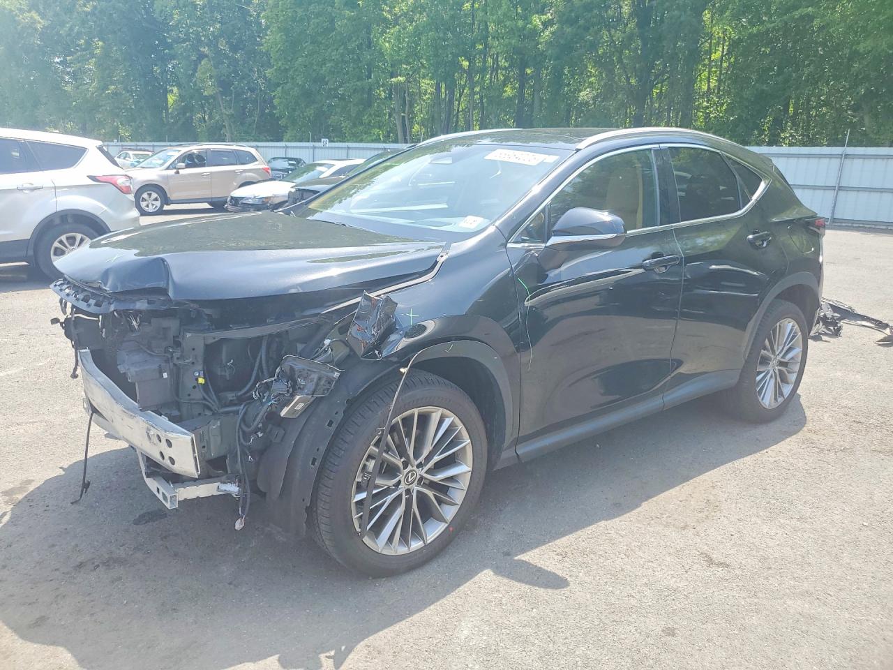 2022 Lexus NX 350 Luxury, VIN 2T2HGCEZ0NC008180 — Front end