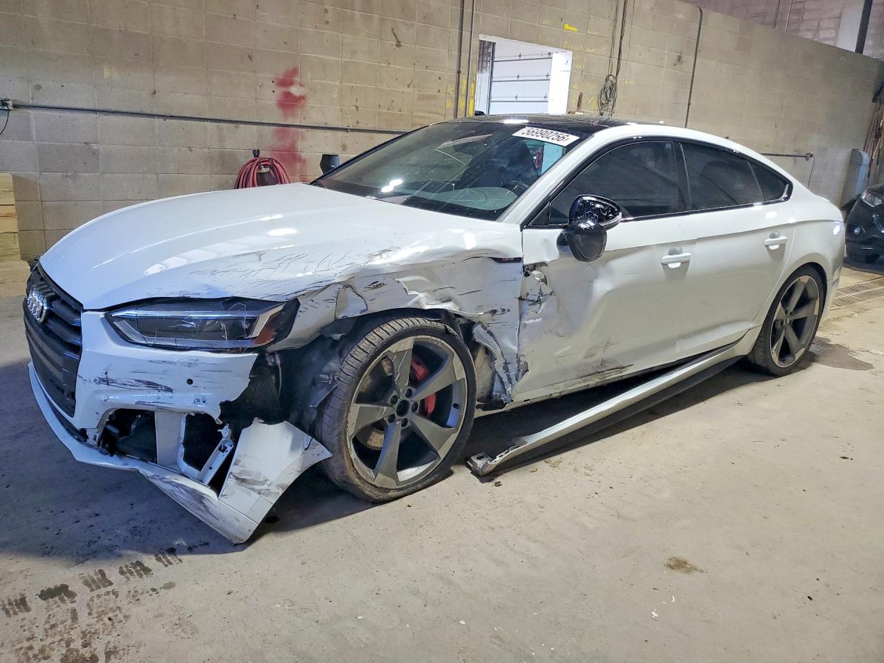 2019 Audi S5 Sportback Premium Plus, VIN WAUB4CF57KA082546 — Front end