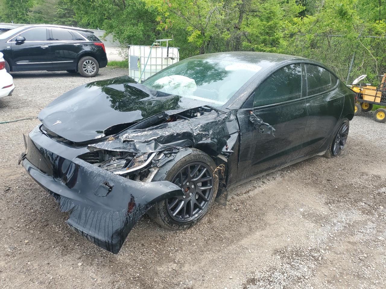 2025 Tesla Model 3 Long Range, VIN 5YJ3E1EB6SF923974 — Front end