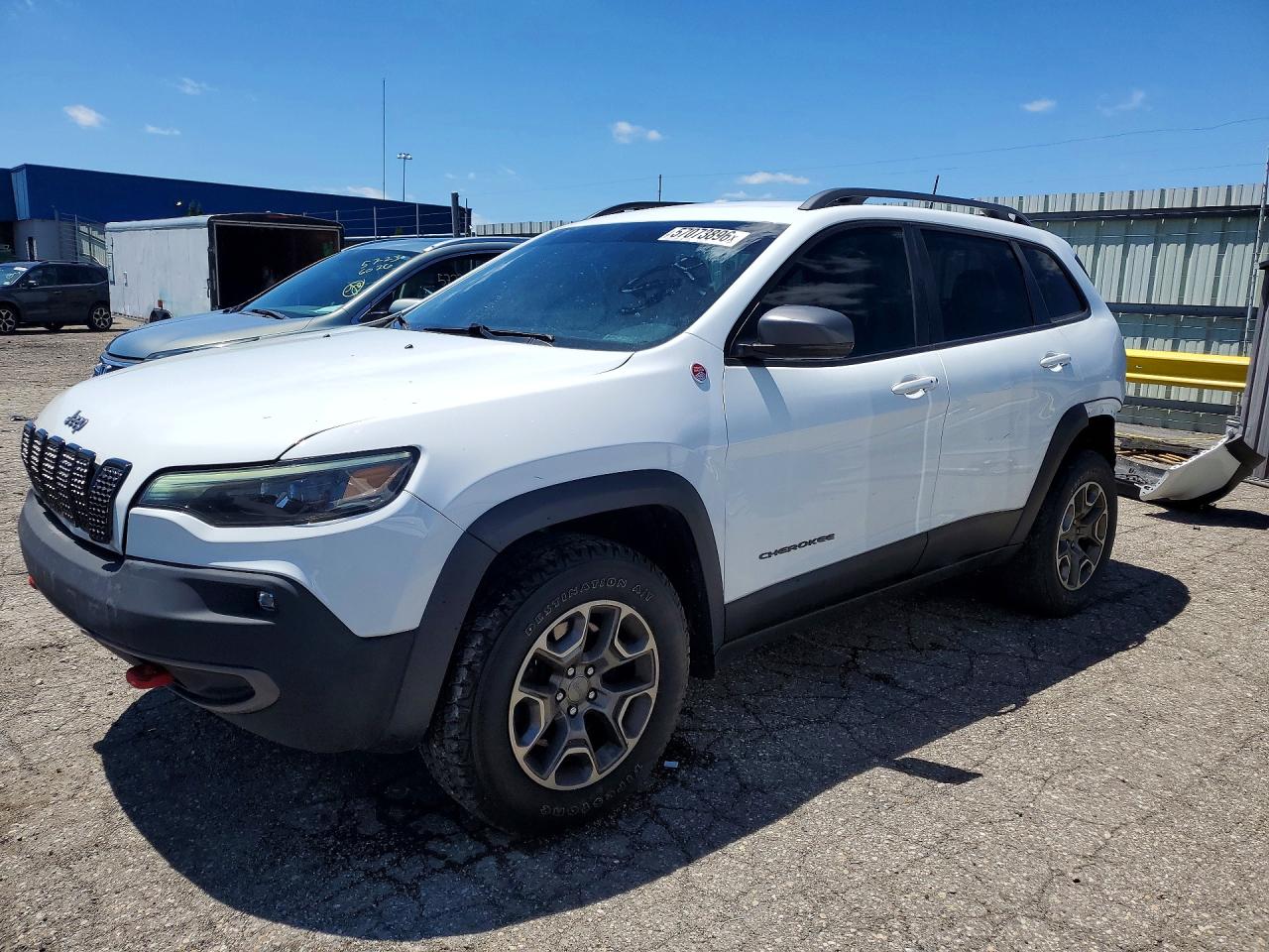 2020 Jeep Cherokee Trailhawk, VIN 1C4PJMBXXLD562823 — Зад