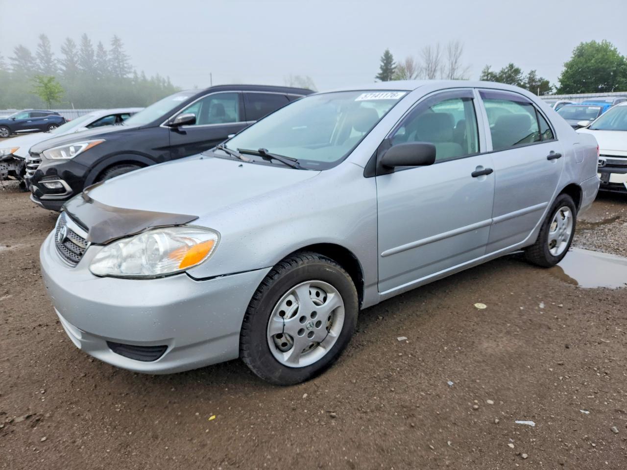 2006 Toyota Corolla CE, VIN 2T1BR32E86C665249 — Front end