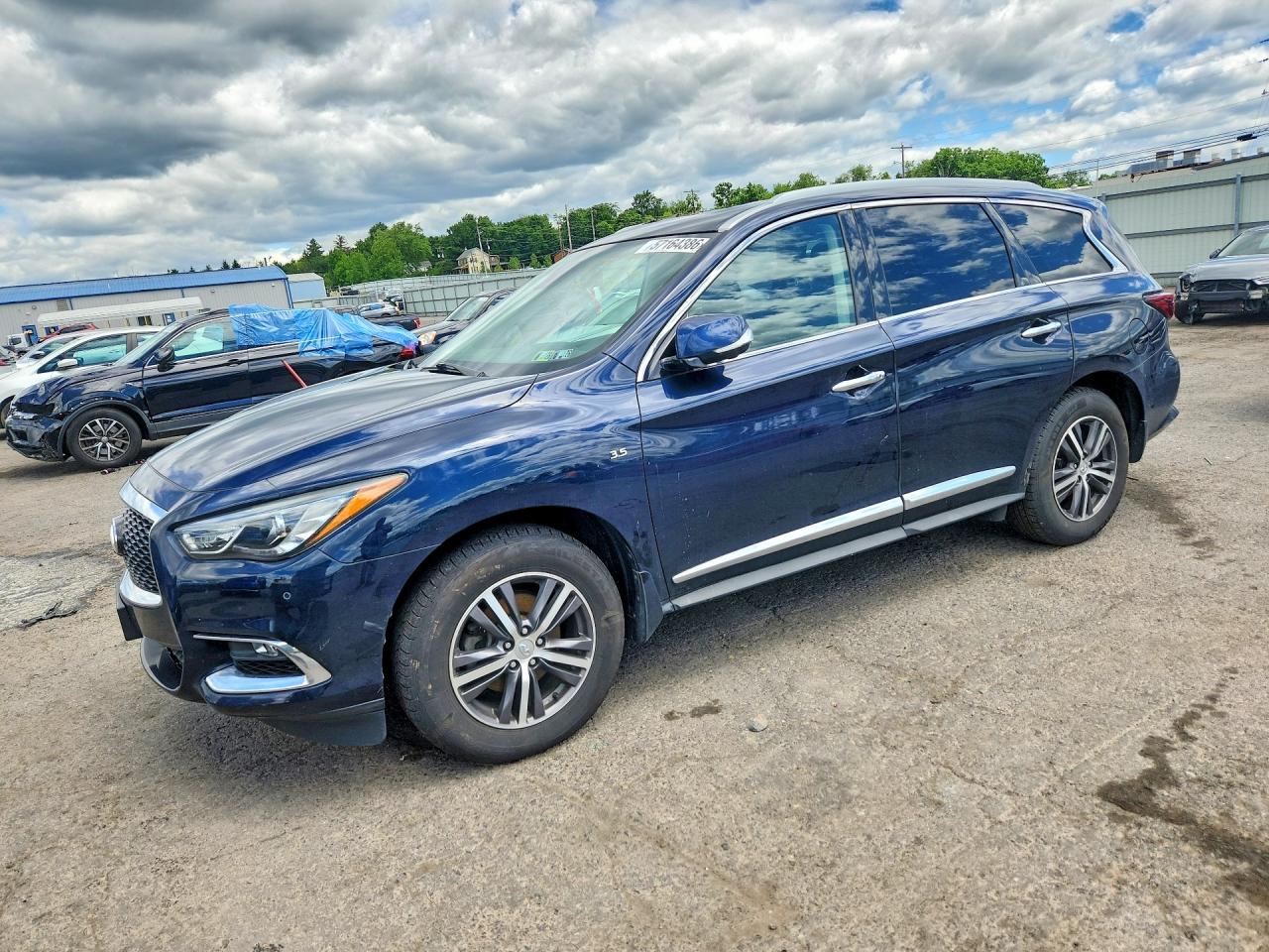 2019 Infiniti QX60 Luxe, VIN 5N1DL0MM4KC560686 — Вандализм