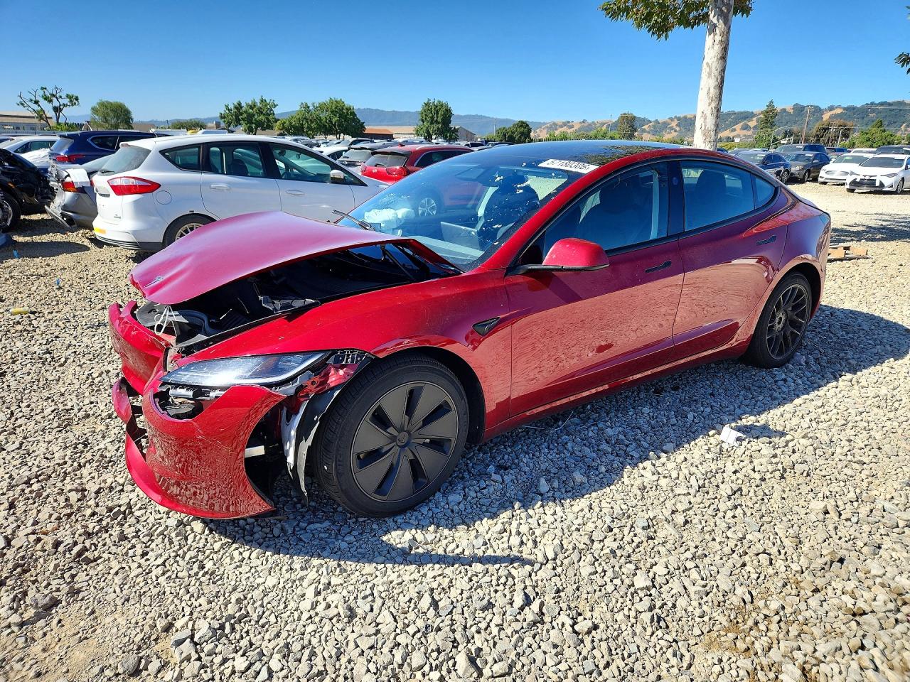 2024 Tesla Model 3 Long Range, VIN 5YJ3E1EB7RF769852 — Front end