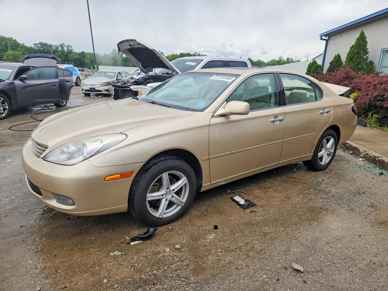 2004 Lexus ES 350, VIN JTHBA30G845046185 — Зад