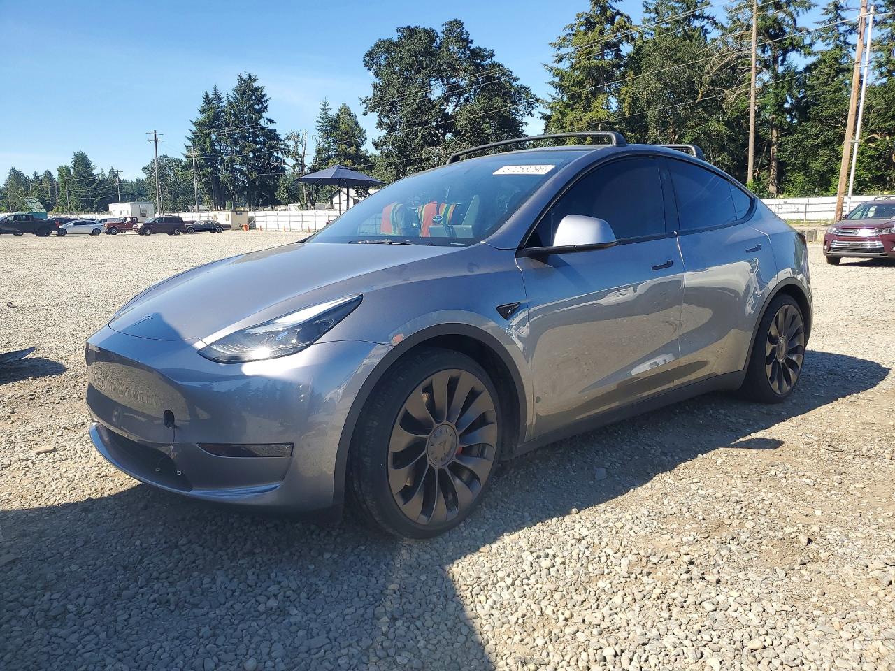 2025 Tesla Model Y Performance, VIN 7SAYGDEF8SF263346 — Side