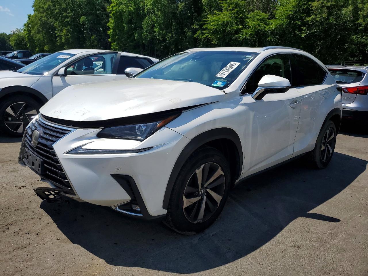 2018 Lexus NX 300, VIN JTJBARBZ8J2160216 — Front end