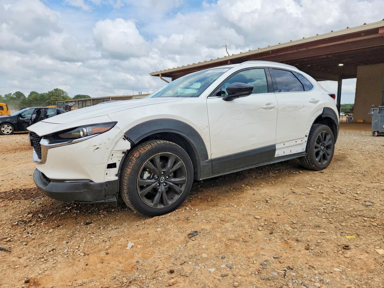 2022 Mazda CX-30 Premium, VIN 3MVDMBDY8NM429035 — Side