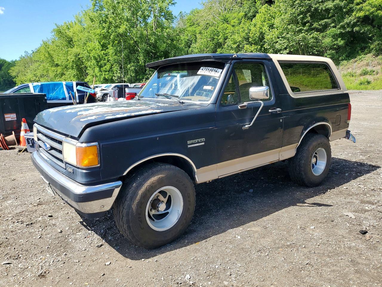 1991 Ford Bronco Custom, VIN 1FMEU15H1MLA09532 — Rear end