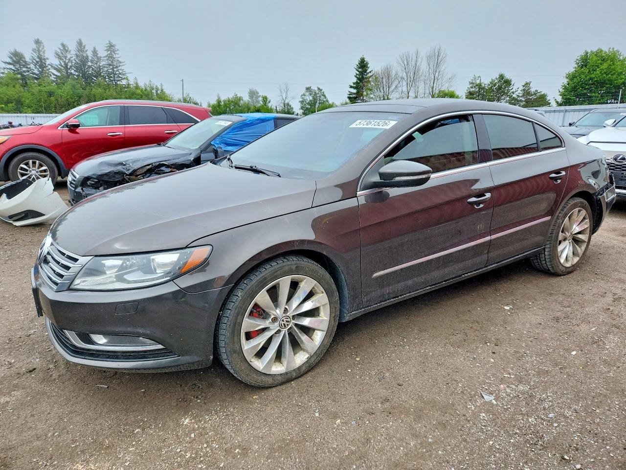 2013 Volkswagen CC Lux, VIN WVWRN7AN6DE516108 — Зад
