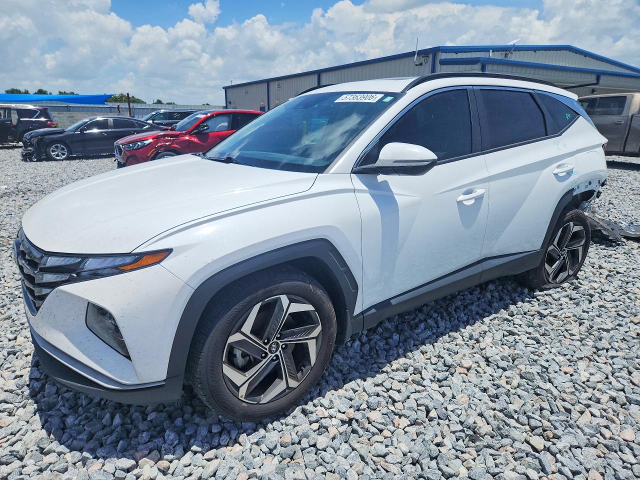 2024 Hyundai Tucson SEL, VIN 5NMJF3DE9RH337354 — Зад