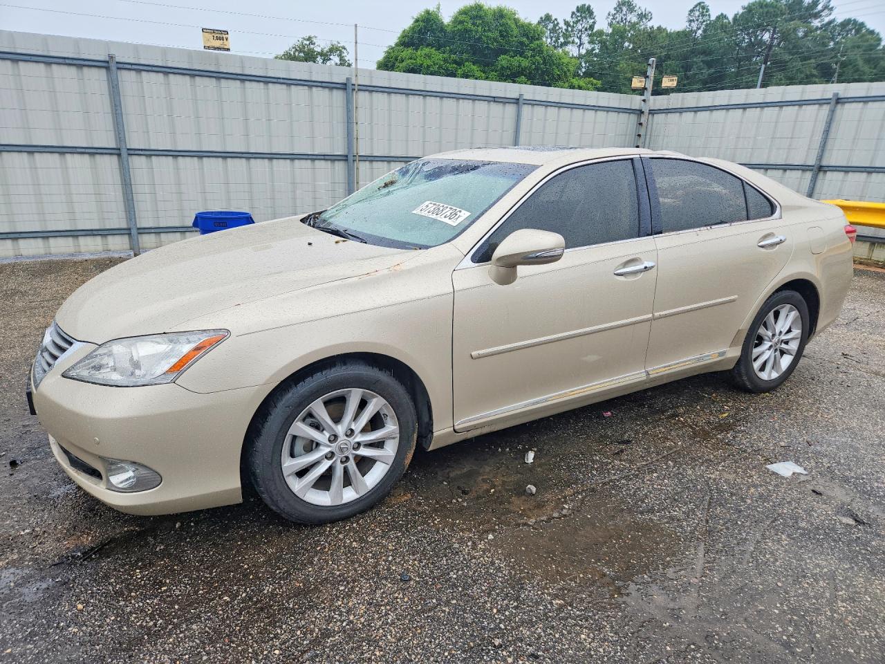 2010 Lexus ES 330, VIN JTHBK1EG3A2384844 — Roof