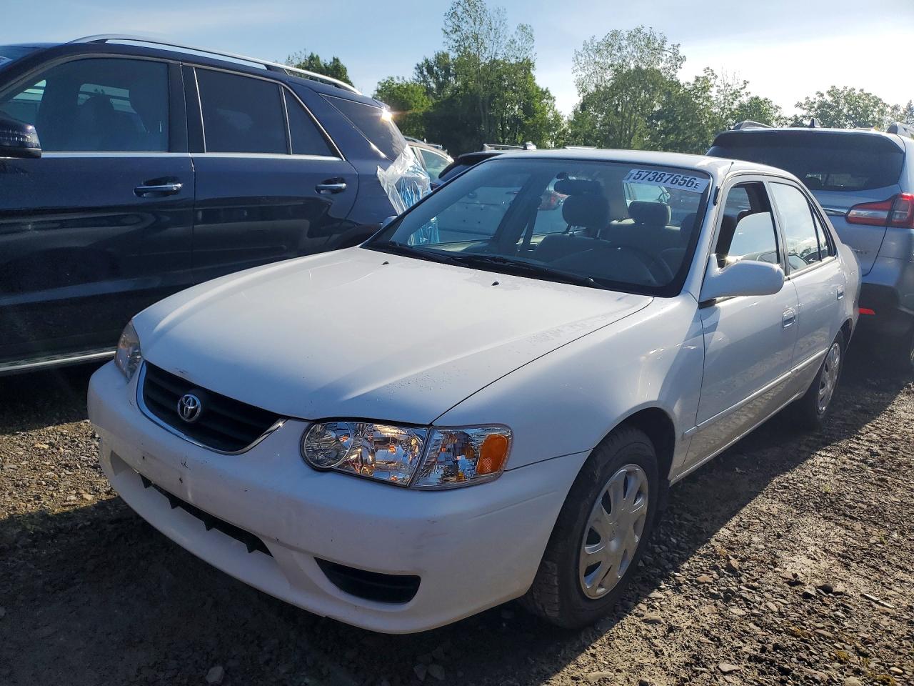 2002 Toyota Corolla S, VIN 1NXBR12E62Z611106 — Minor dents and scratches