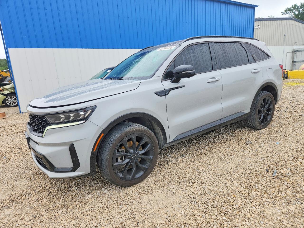 2023 Kia Sorento SX Prestige, VIN 5XYRKDLF4PG162291 — Hail