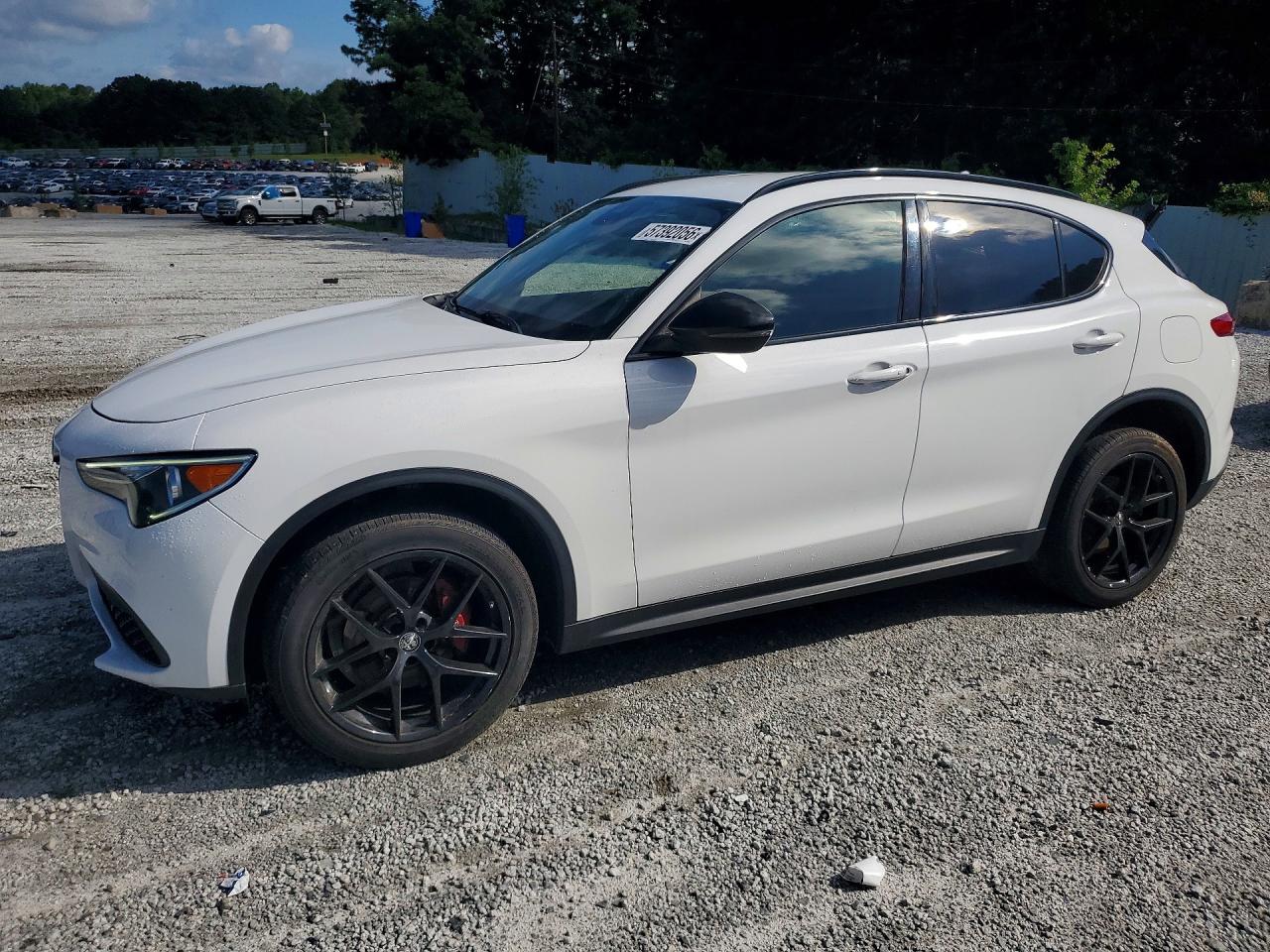 2020 Alfa Romeo Stelvio, VIN ZASPAJAN6L7C74852 — Мелкие вмятины и царапины