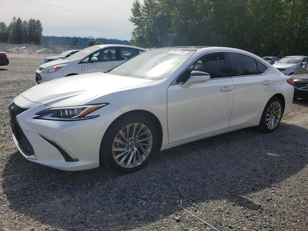 2019 Lexus ES 350 Luxury, VIN JTHBZ1B14K2004374 — Бок