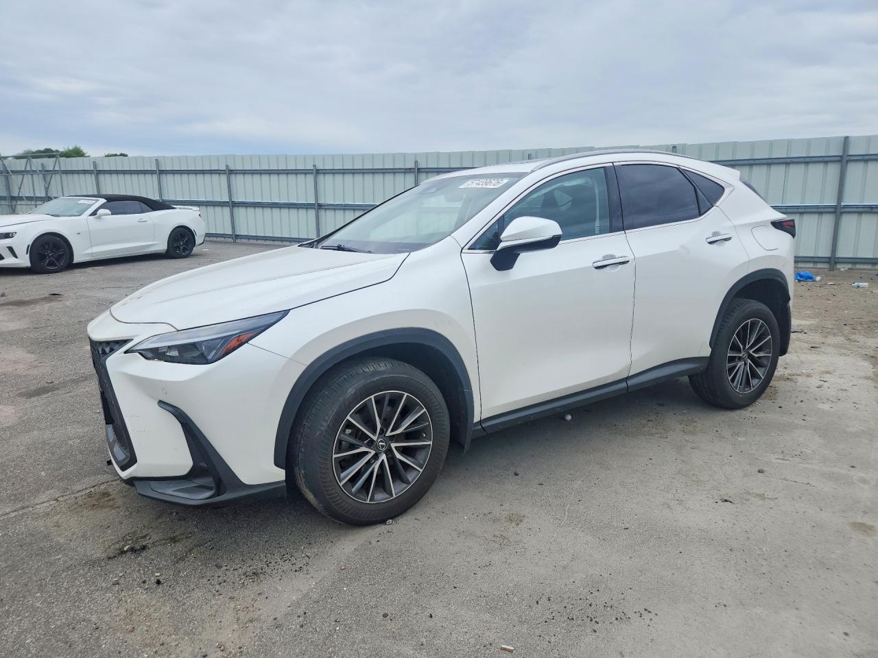 2023 Lexus NX 350 Premium, VIN JTJGGCEZ2P5005584 — Перед