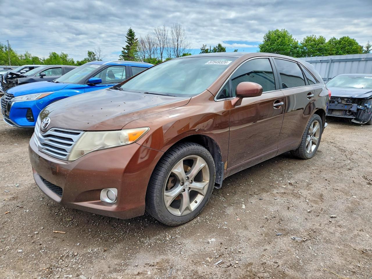 2010 Toyota Venza, VIN 4T3BK3BBXAU038786 — Rear end