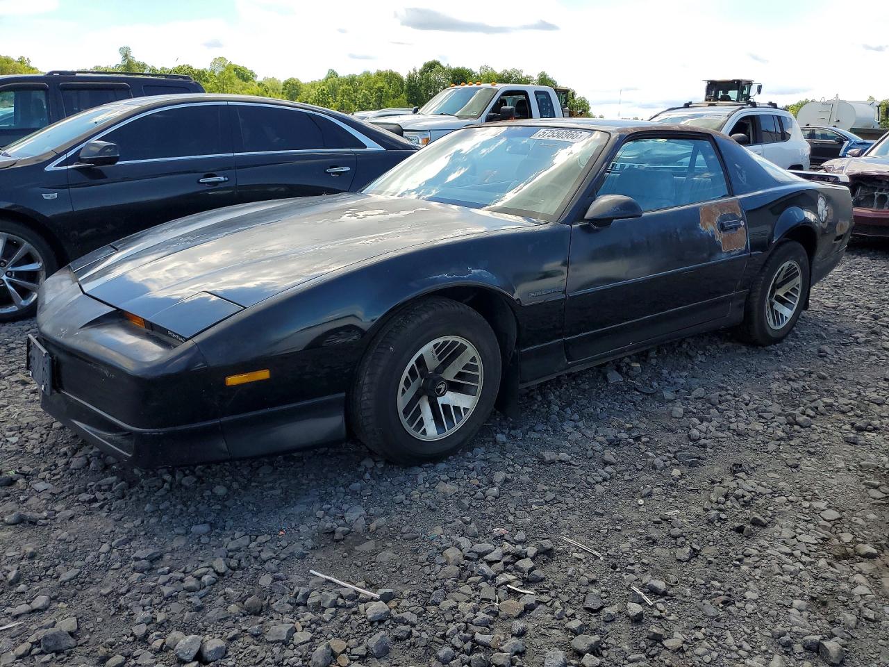 1990 Pontiac Firebird, VIN 1G2FS23T1LL207221 — Rear end