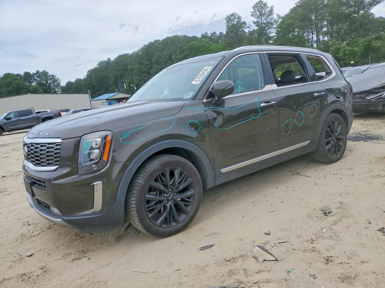 2020 Kia Telluride SX, VIN 5XYP5DHC5LG088032 — Vandalism