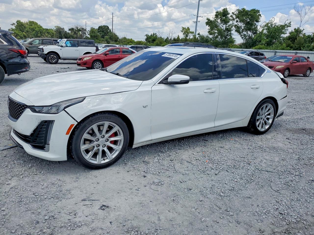 2021 Cadillac CT5 Luxury, VIN 1G6DW5RK9M0117991 — Зад