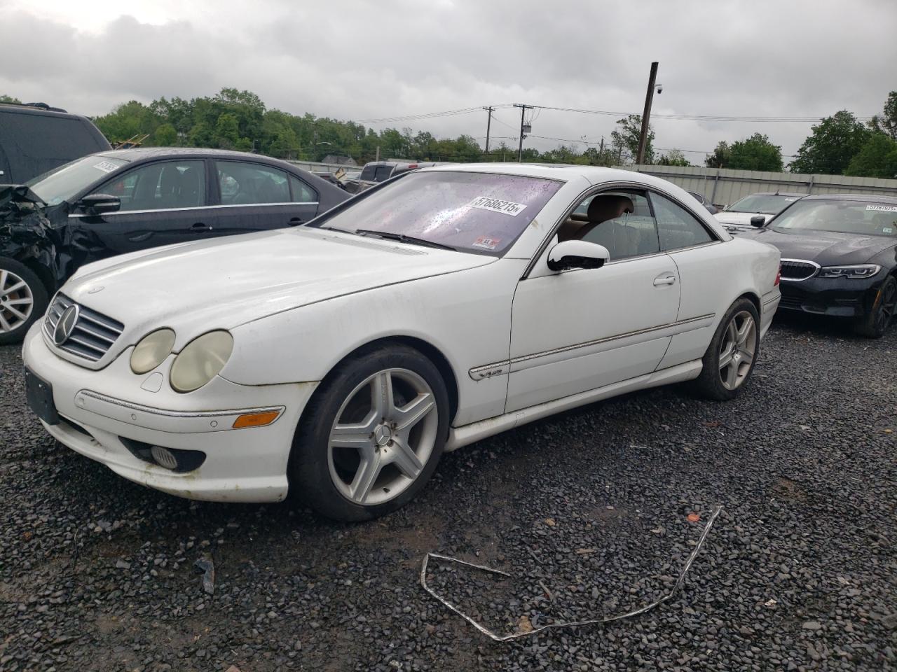 2001 Mercedes-Benz CL 500/600, VIN WDBPJ78J81A016880 — Auction photo
