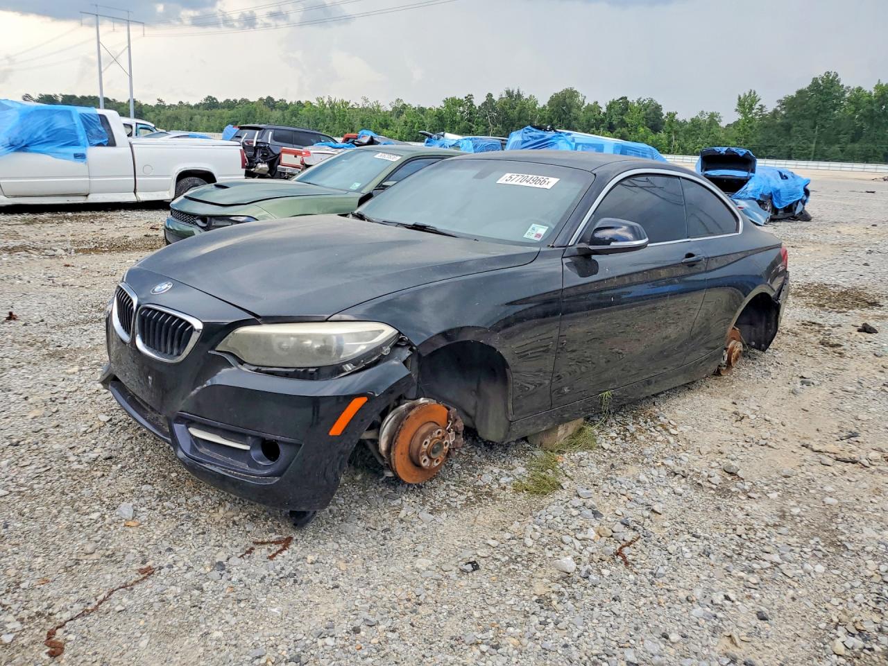 2015 BMW 2 Series 228i, VIN WBA1F5C59FV256394 — Vandalism