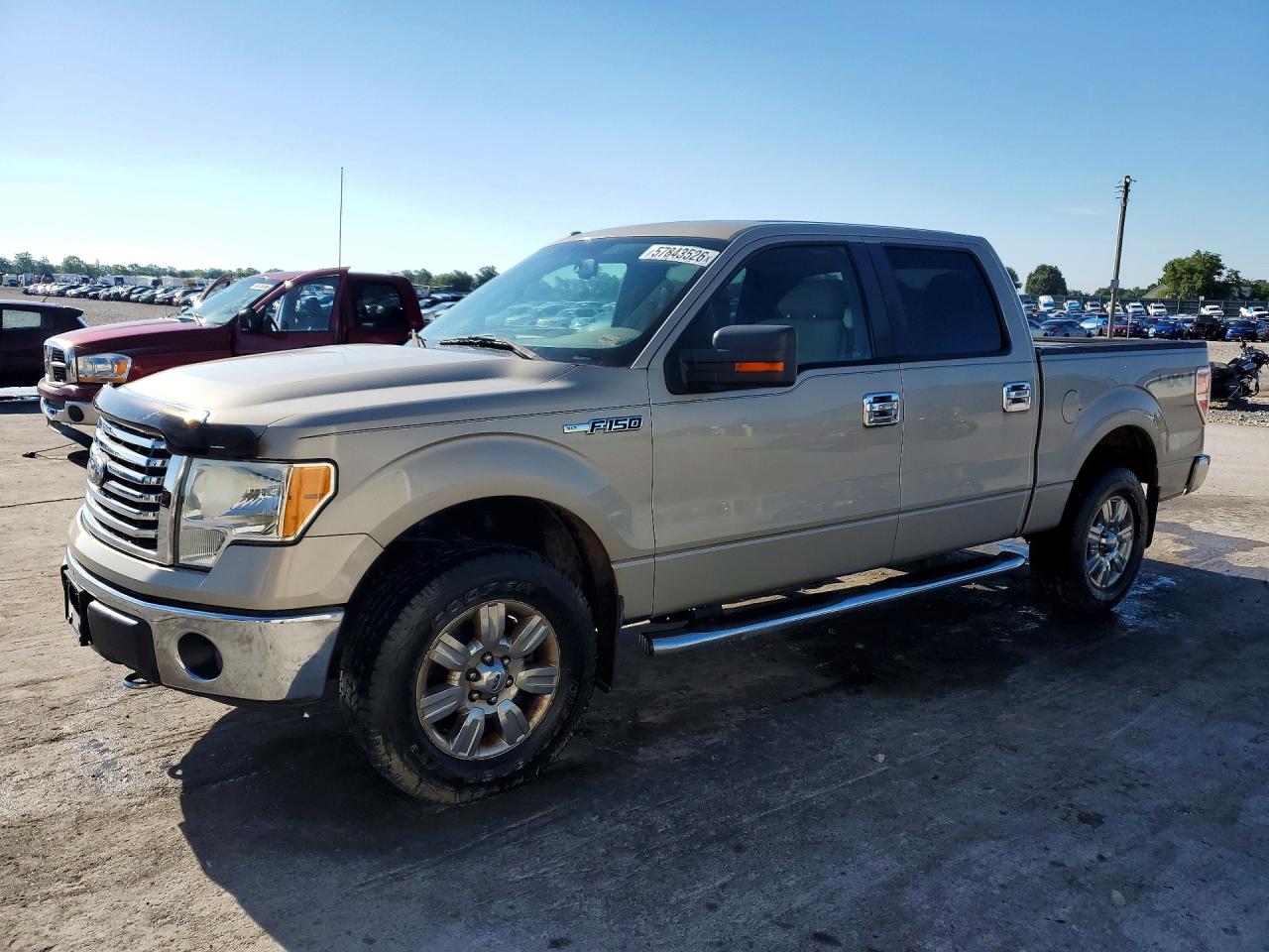 2010 Ford F-150 XL, VIN 1FTFW1EV1AFD39741 — Frame damage
