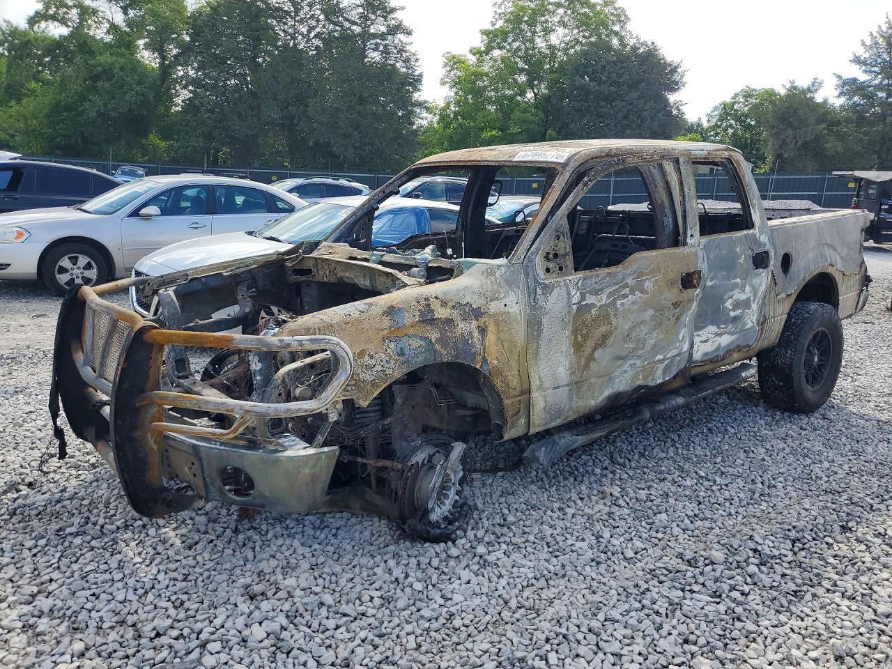 2010 Ford F-150 XL, VIN 1FTEW1E88AFB09653 — Burn