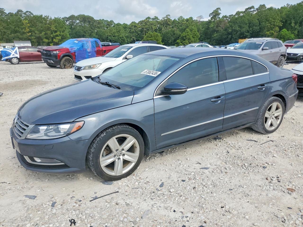 2015 Volkswagen CC Sport, VIN WVWBN7AN4FE810210 — Hail