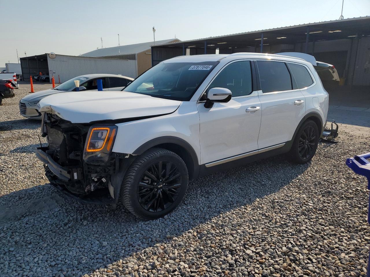 2021 Kia Telluride SX, VIN 5XYP5DHC0MG112514 — Перед