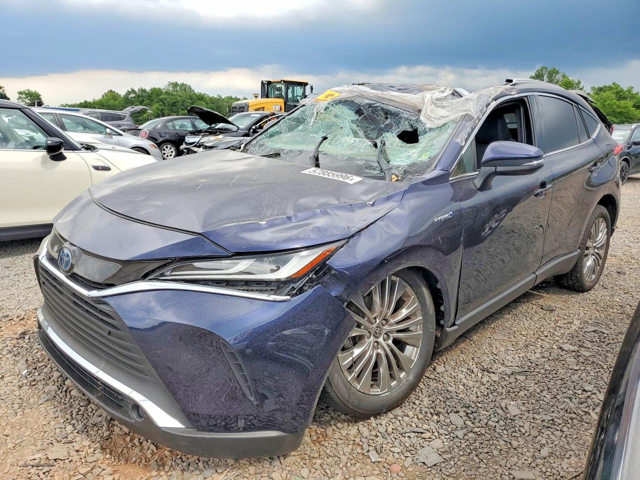 2021 Toyota Venza Limited, VIN JTEAAAAH5MJ015066 — Roof