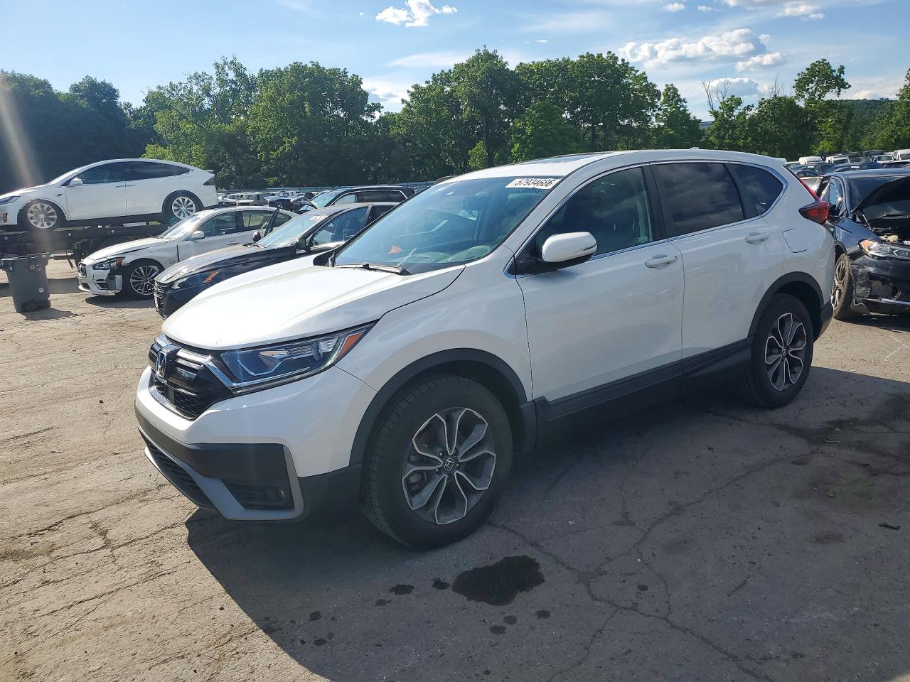 2020 Honda CR-V EX-L, VIN 2HKRW2H86LH647702 — Missing or altered VIN