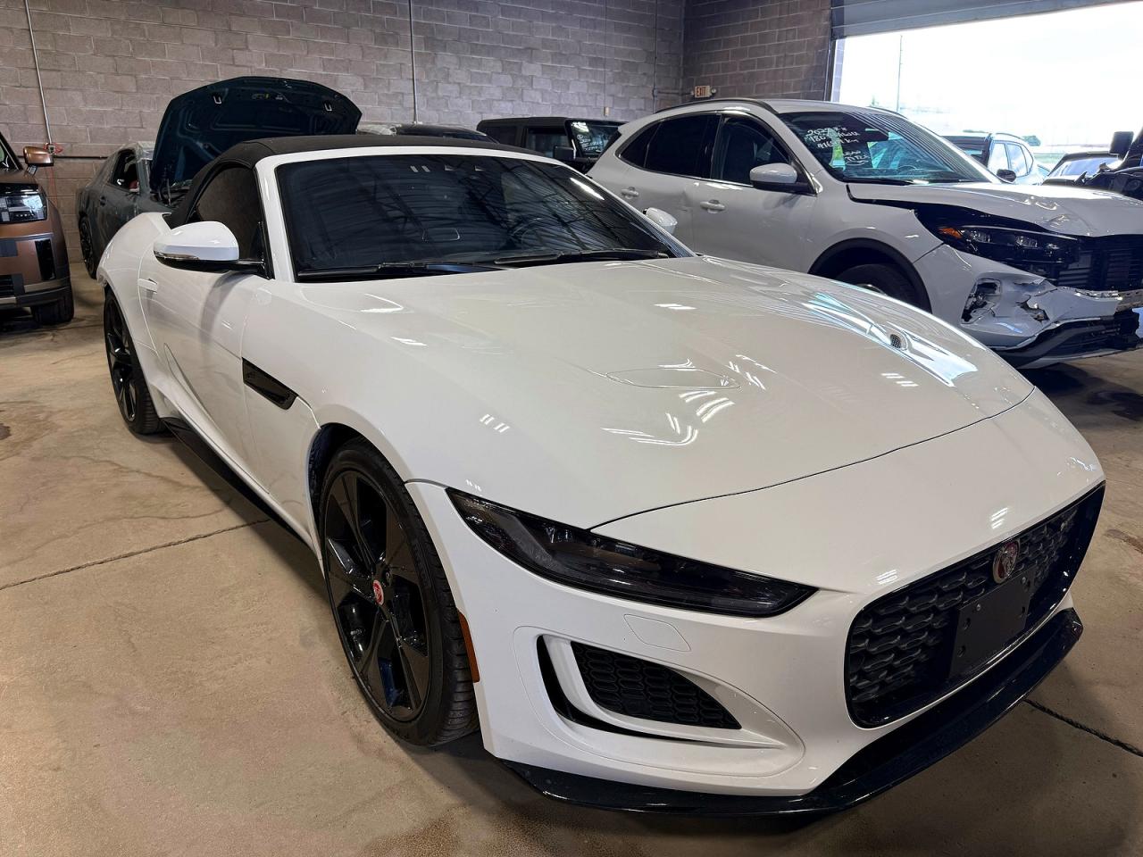2023 Jaguar F-Type, VIN SAJD85EE4PCK80432 — Зад