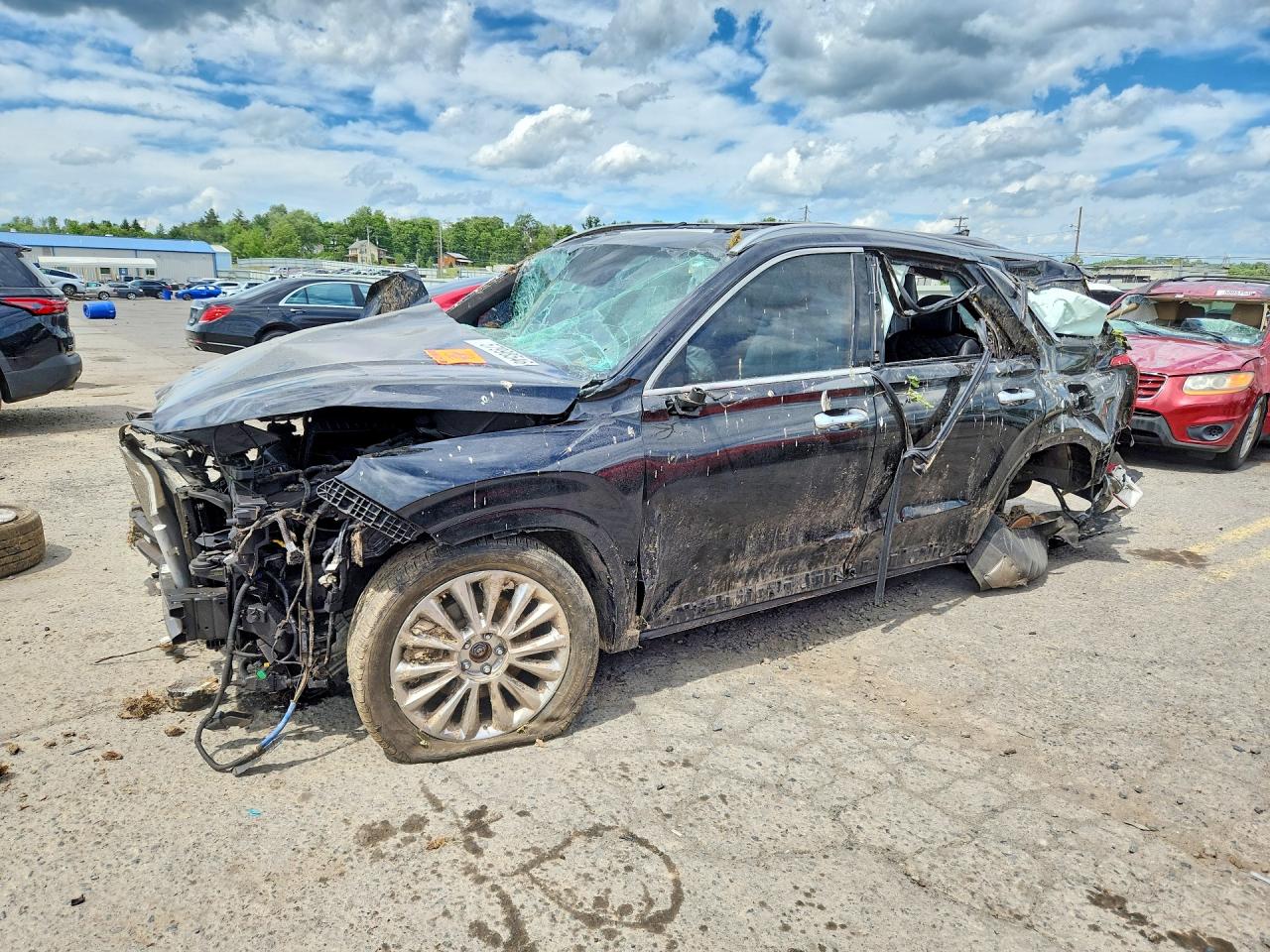 2020 Hyundai Palisade Limited, VIN KM8R5DHE5LU067055 — All over