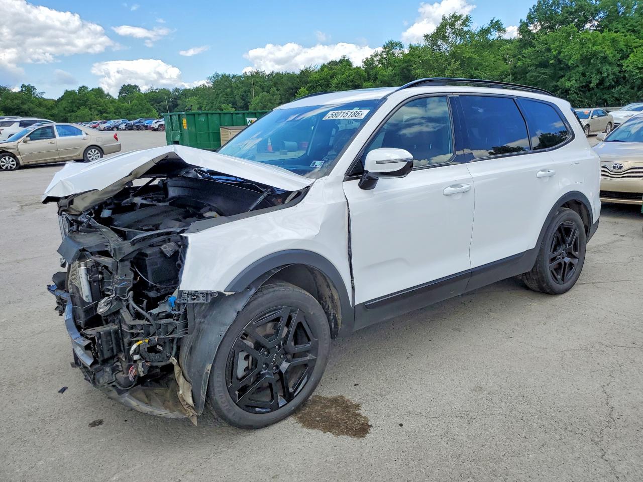 2024 Kia Telluride SX Prestige X-Line, VIN 5XYP5DGC3RG436016 — Front end