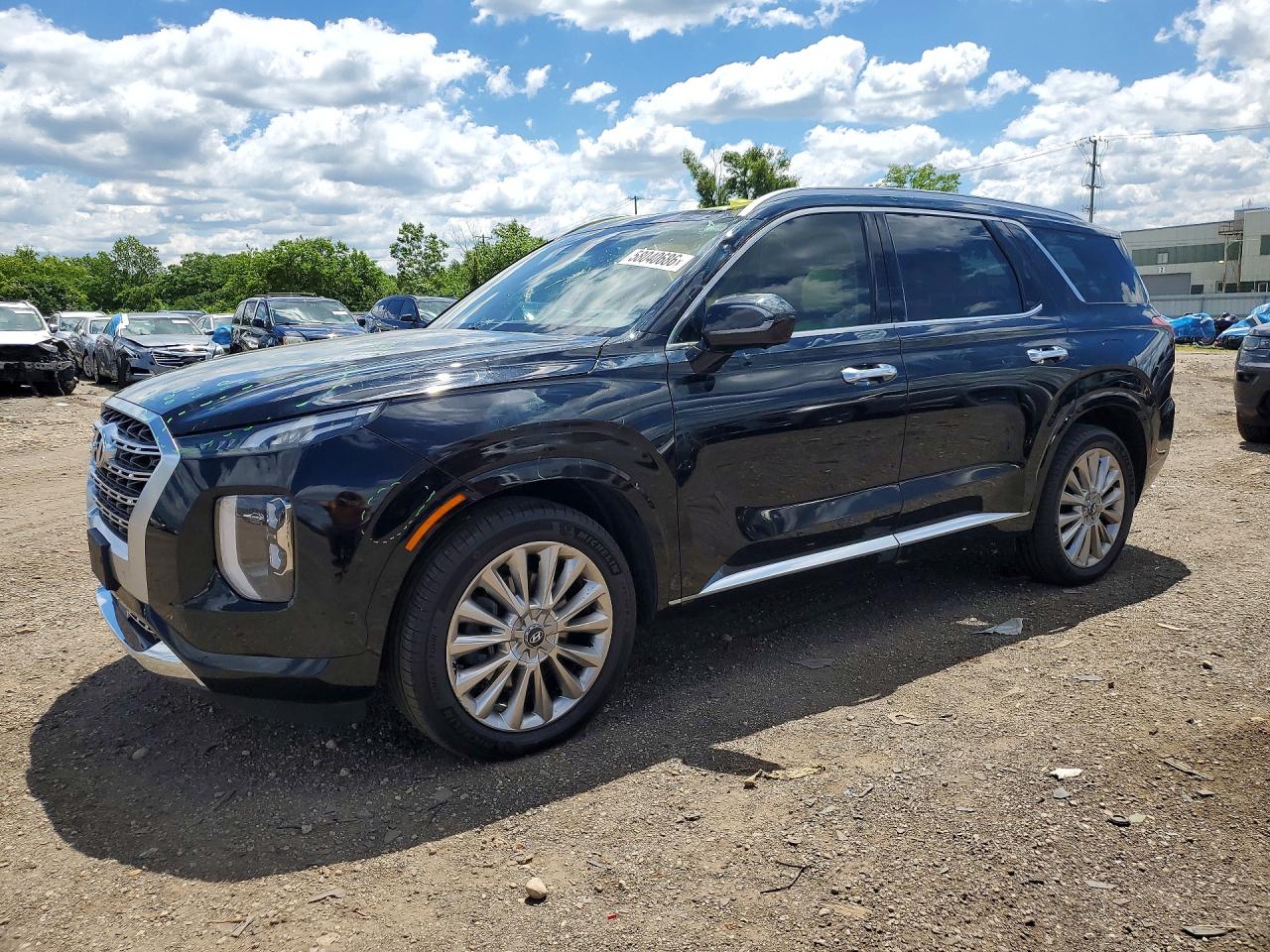2020 Hyundai Palisade Limited, VIN KM8R5DHE4LU167552 — Hail
