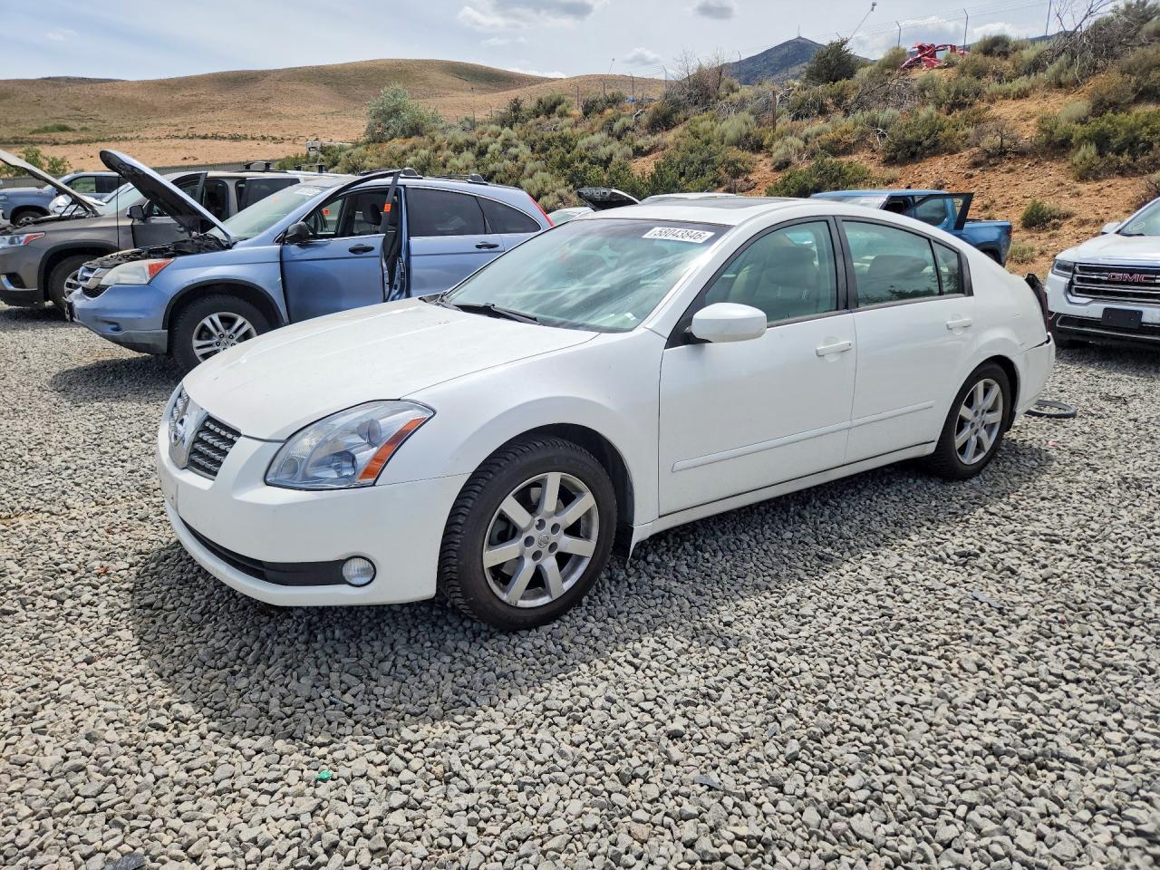 2004 Nissan Maxima SL, VIN 1N4BA41E44C855382 — Зад