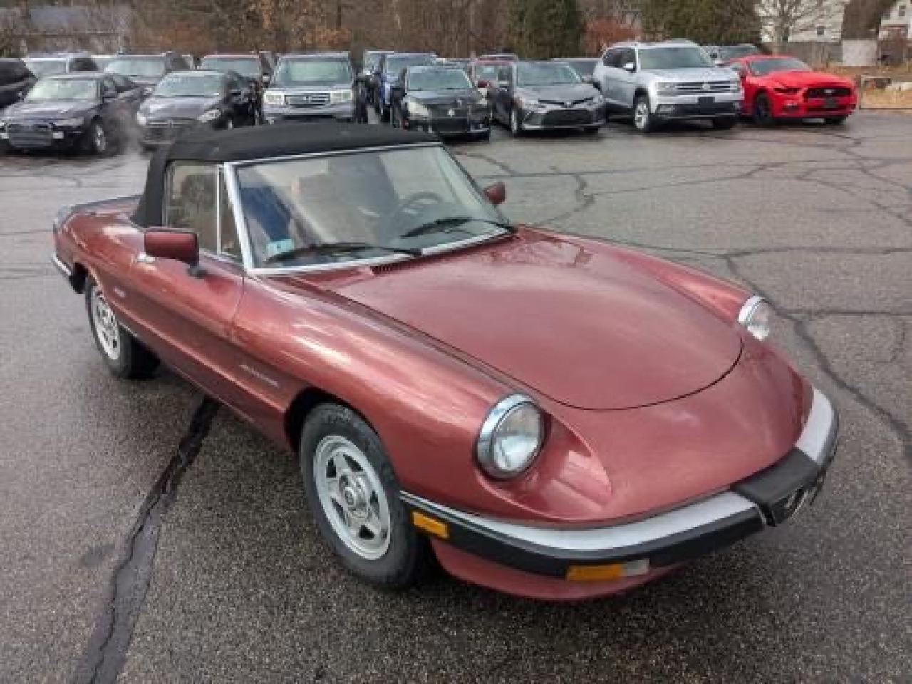 1988 Alfa Romeo Spider, VIN ZARBC5767J1056025 — Обычный износ