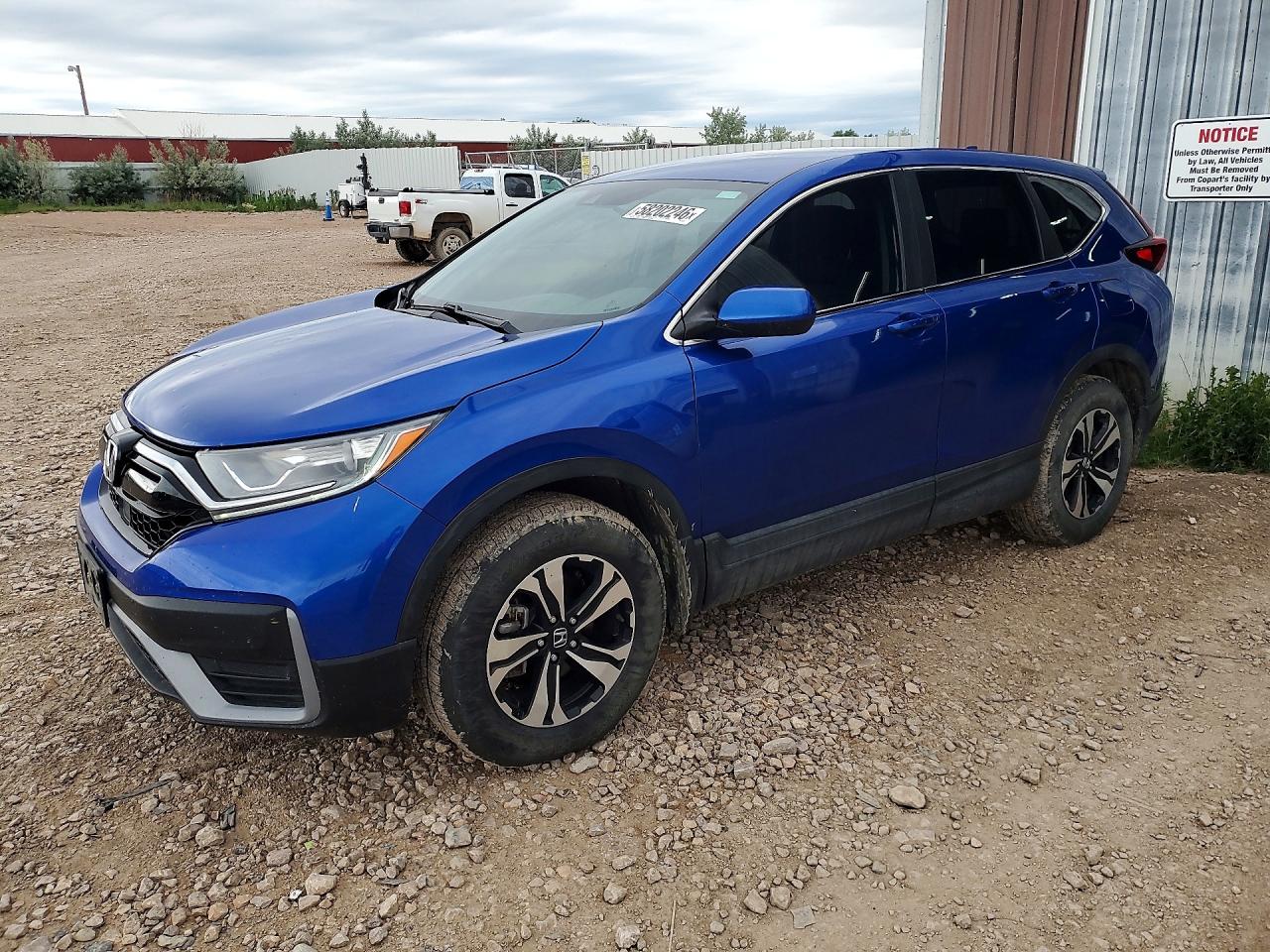 2022 Honda CR-V Special Edition, VIN 7FARW2H78NE006824 — Hail