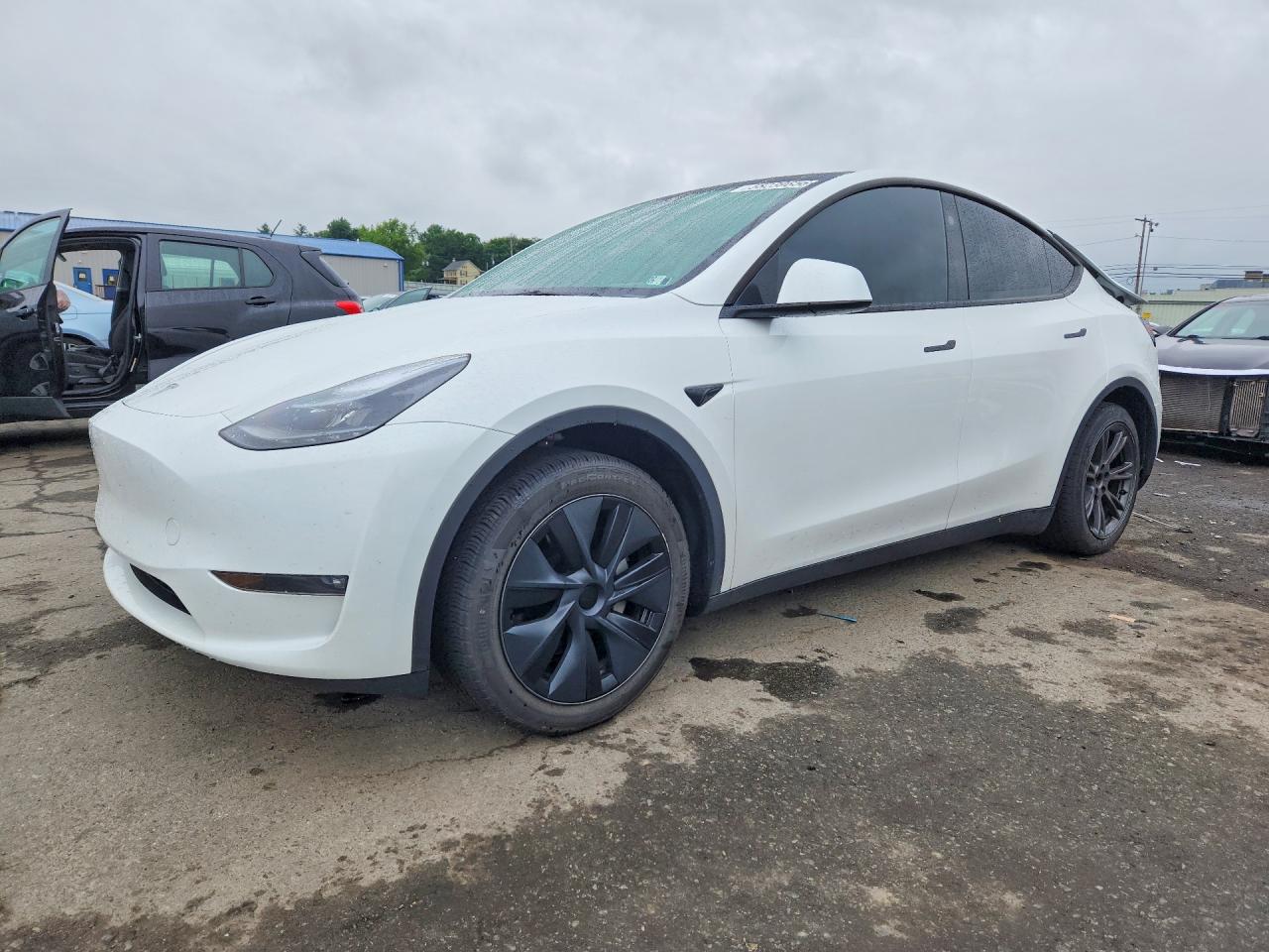2024 Tesla Model Y Long Range, VIN 7SAYGDEE1RF197224 — Water / flood