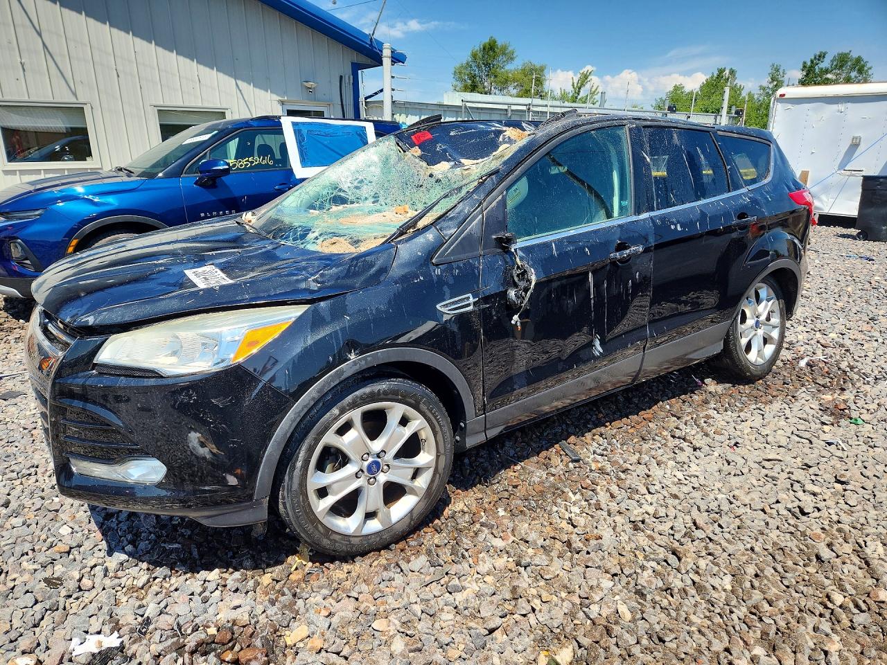 2014 Ford Escape Titanium, VIN 1FMCU0JX0EUC51450 — Крыша