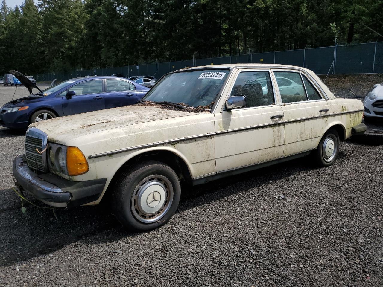 1983 Mercedes-Benz 240 Series 240D, VIN WDBAB23A0DB409512 — Front end